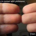 A Phthalates Experiment (or: I touched a slimy dildo on purpose)
