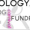 The Dildology.org 1st Bi-Annual Blog Carnival Fundraiser Event