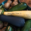 Jimmyjane Form 4