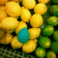 Showing the Minna Limon in a grocery store setting, nestled amongst real lemons