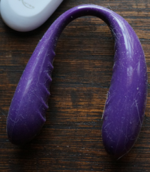 A very dirty We-Vibe 3; the shiny silicone attracts dust and fur in minutes. Wouldn't a sex toy wipe be great right about now?