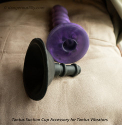 Tantus Suction Cup Dildo Attachment shown with a Tantus Echo vibrator, bullet removed. 