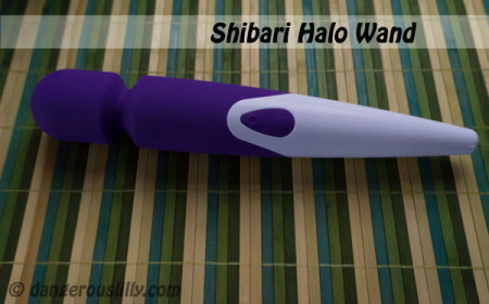 Shibari Halo Wand