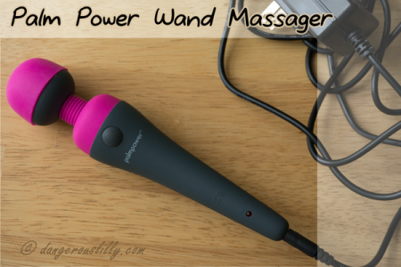 PalmPower Wand Massager