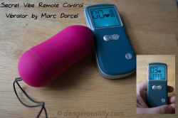 Secret Vibe Remote Control Vibrator by Marc Dorcel has a great remote! Remote face lights up and shows you which setting you're on, and a visual representation of what that setting feels like.