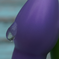 Image shows a dollop of thick clear gel clinging to a light purple dildo 