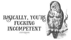 Effinbirds: "Basically you're fucking incompetent"