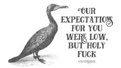 EffinBirds: "Our expectations for you were low, but holy fuck"