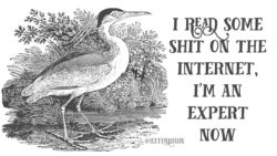 EffinBirds: "I read some shit on the internet, I'm an expert now" 