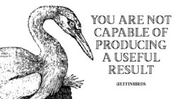 EffinBirds: "You are not capable of producing a useful result"